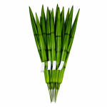 Műanyag szúrható anyósnyelv 47cm