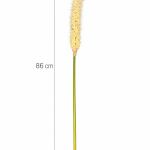 Selyem farkas farok fű