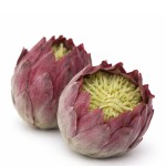 Mű Protea virágfej