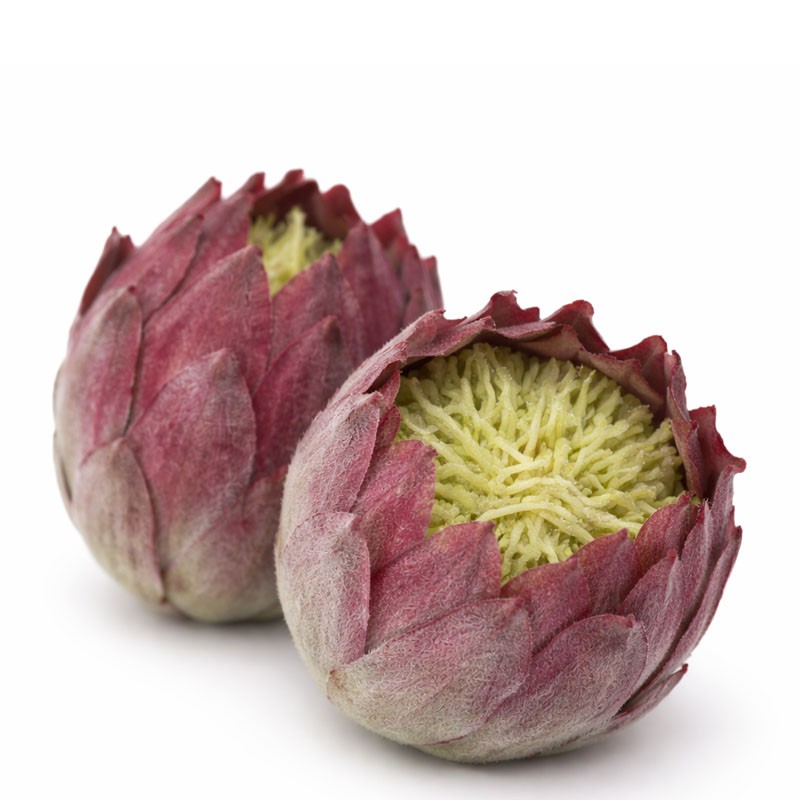 Mű Protea virágfej