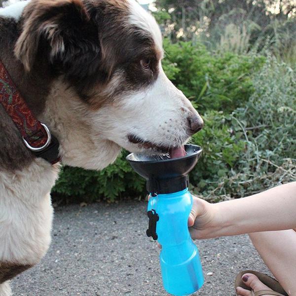 Kutya itató - The Water Bottle For DOGS ON THE GO !