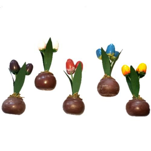 Cserepes fa tulipán