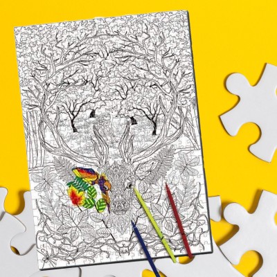 Színező puzzle, összeállítás és színezés, 500 darab, 6 játékot tartalmaz, 70 x 50 cm,