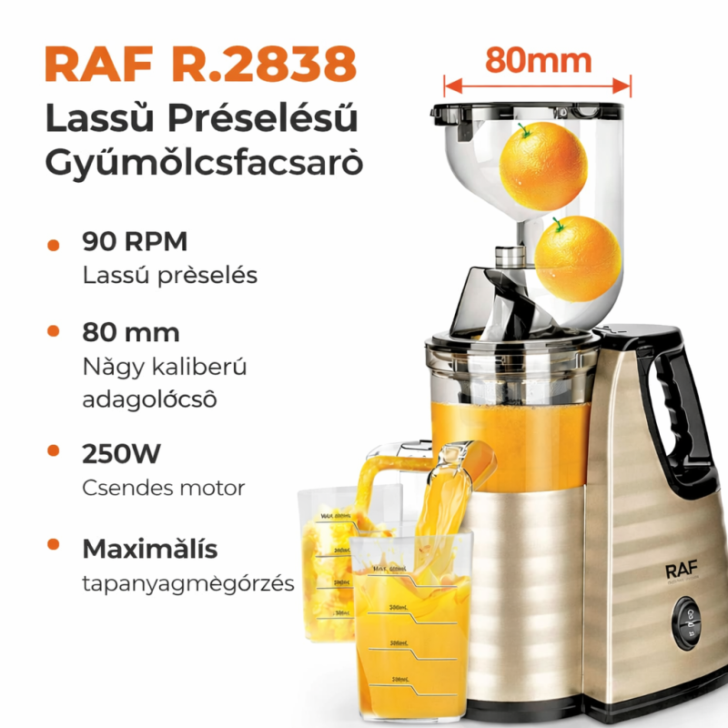 Professzionális Gyümölcsfacsaró Slow Juicer – Lassú Préselésű  (250W, 90 RPM) - RAF R.2838